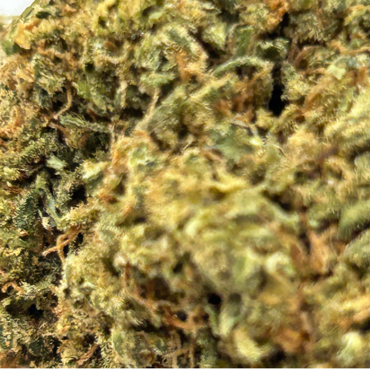 Fleur Girl scout cookie 13% CBD