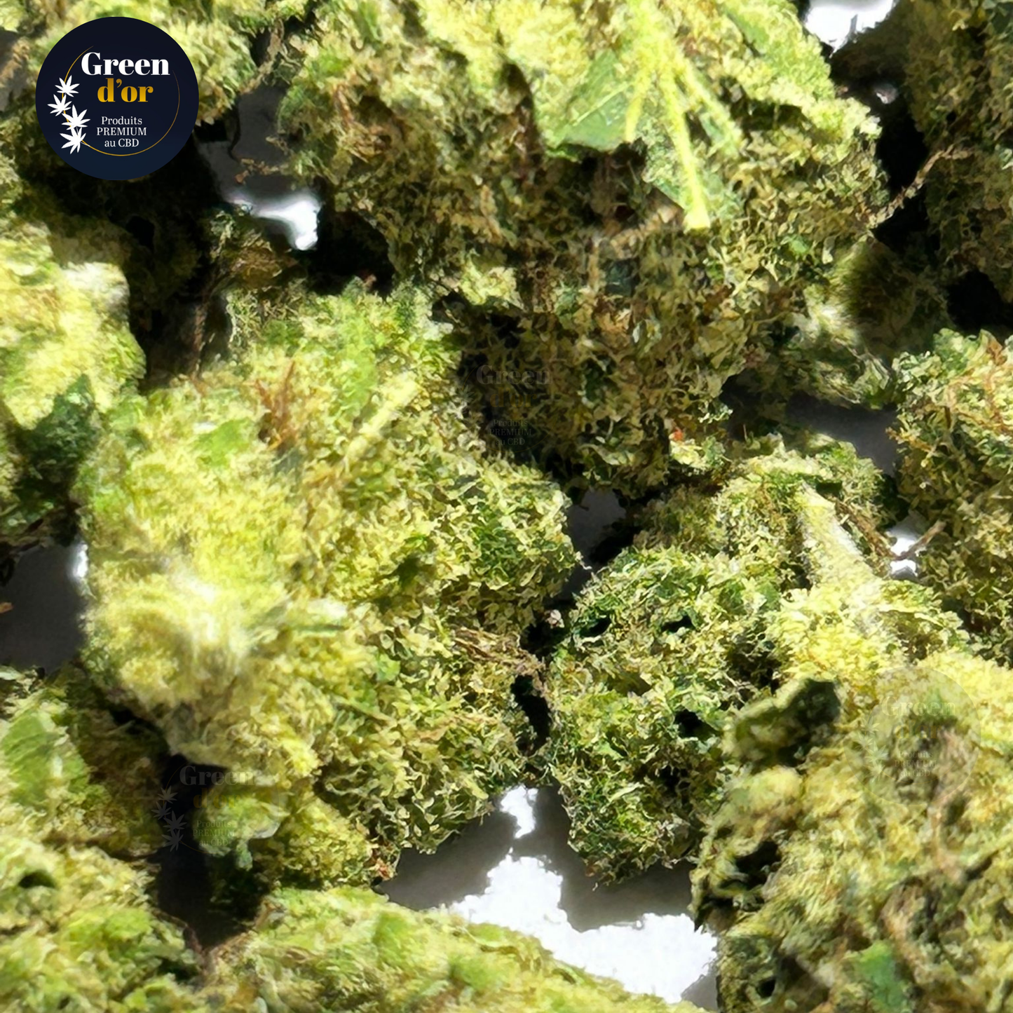 Fleur Magnum ~10% CBD