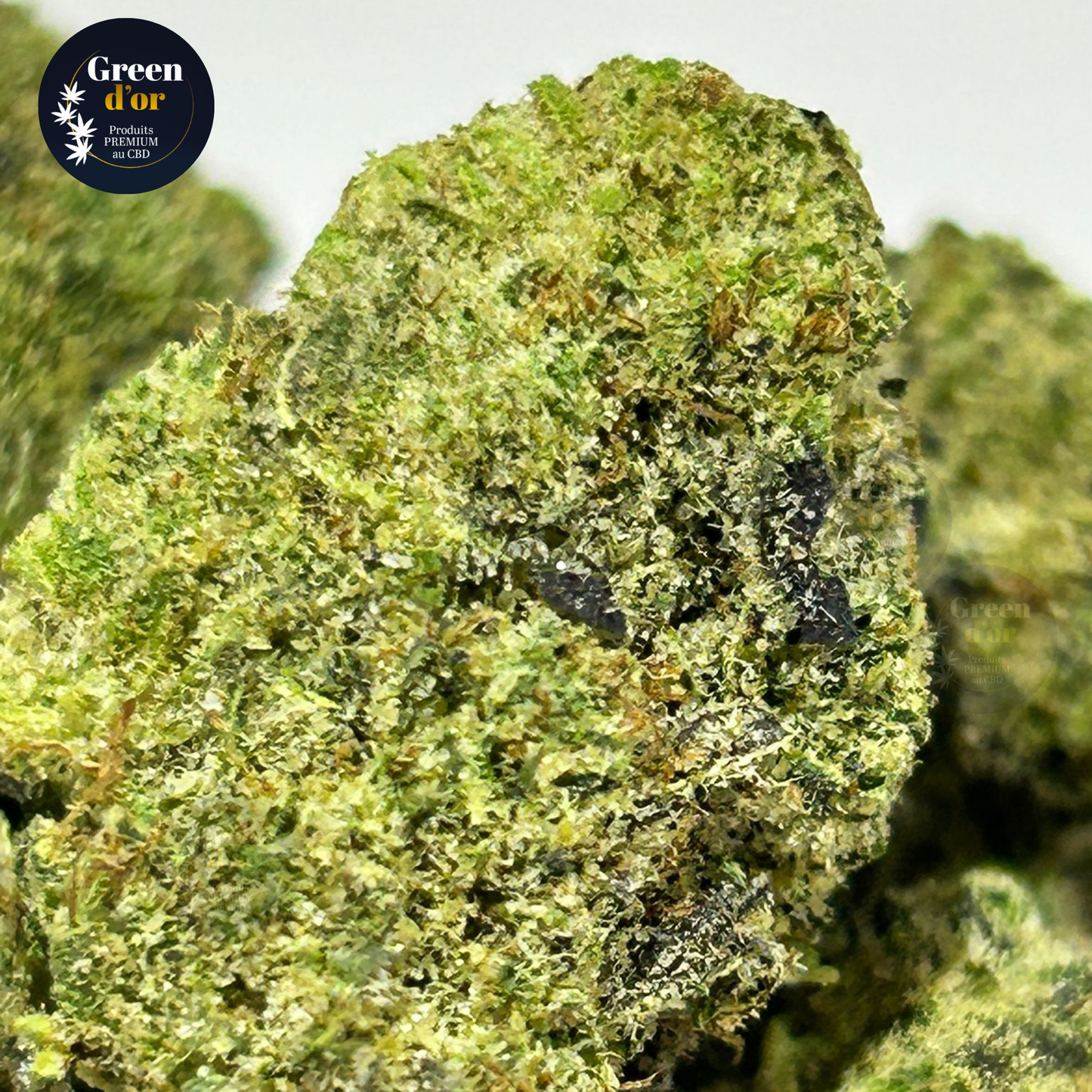 Fleur Zushi ~ 14% CBD