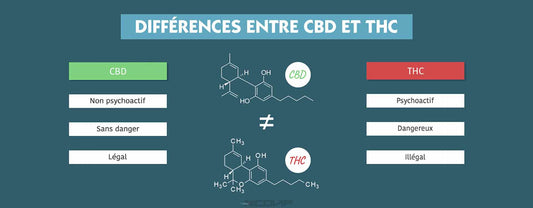Différence entre le CBD et le THC