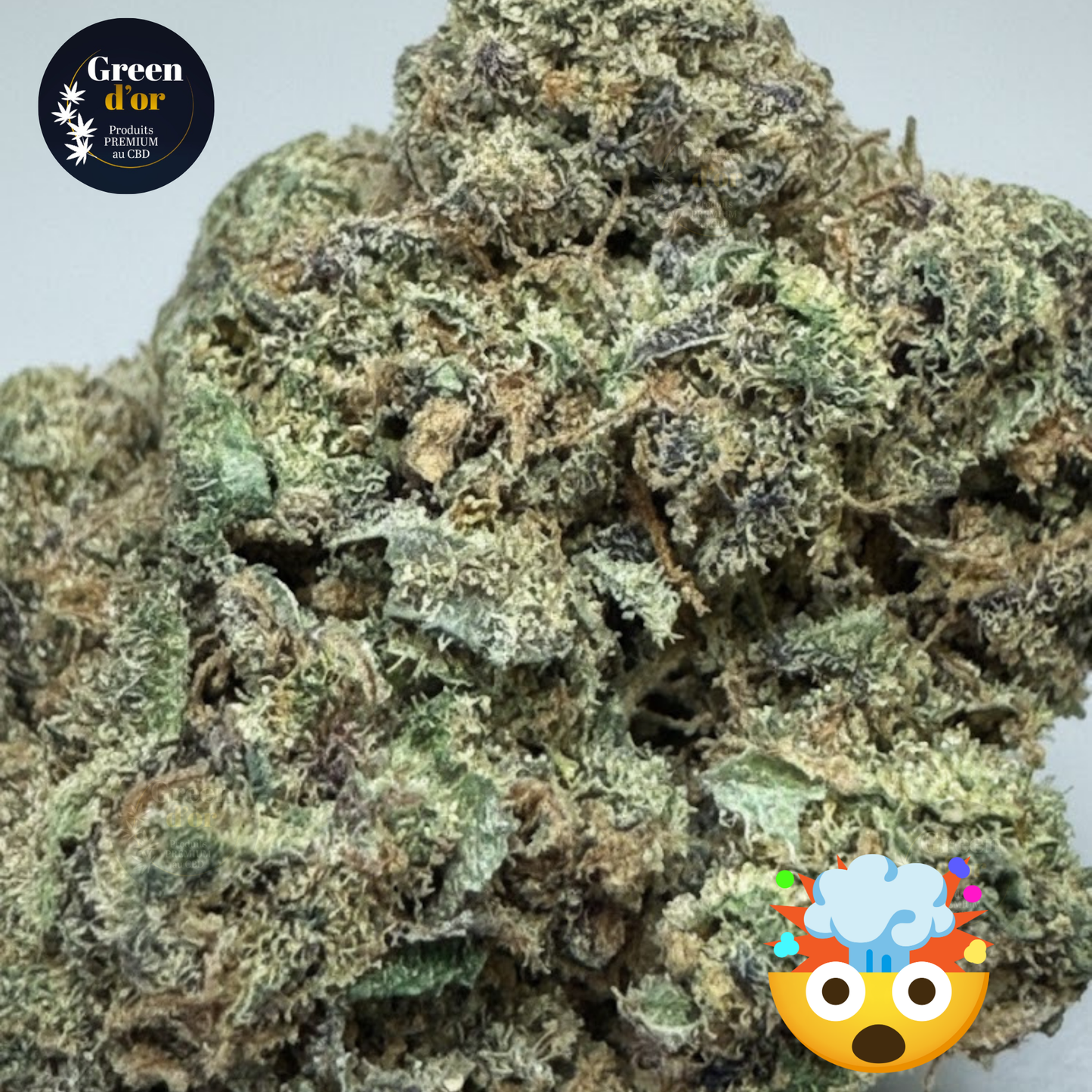 Fleur AMNÉSIA CBD-P