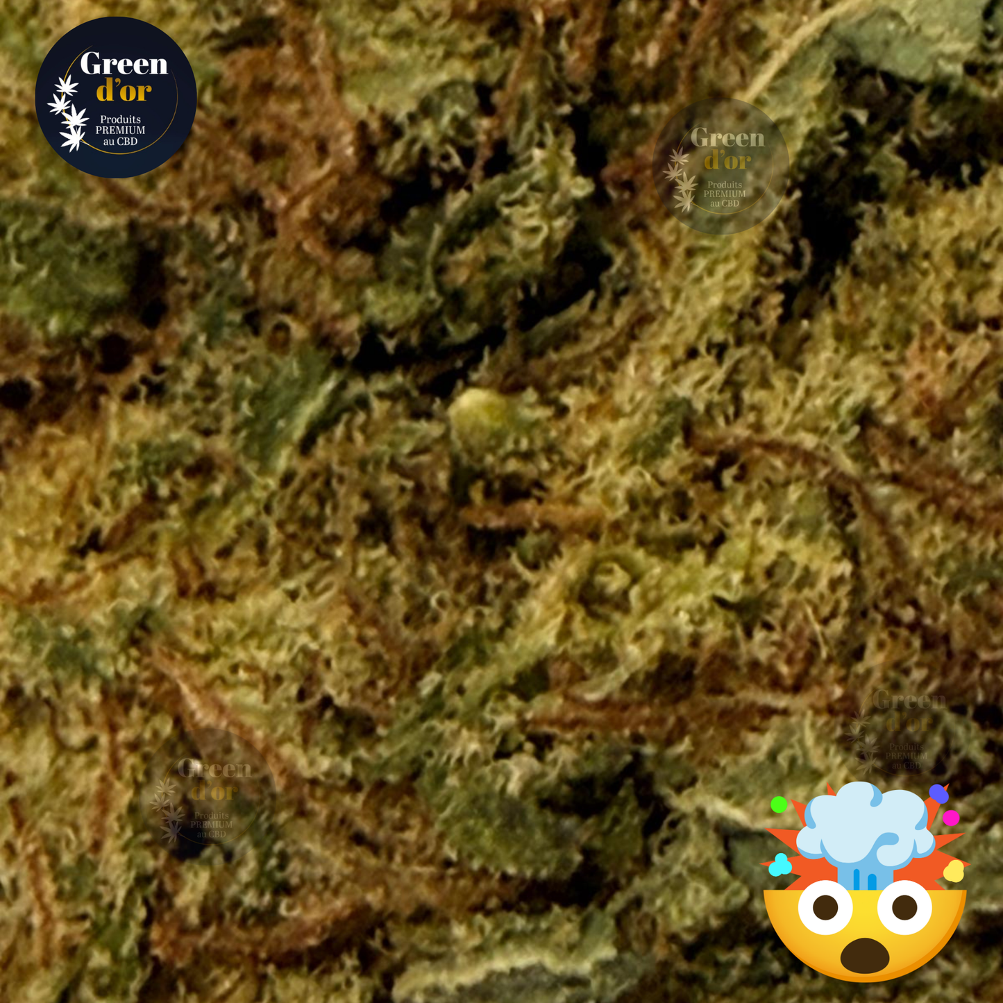 Fleur  John Lemon CBD-P