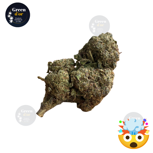 Fleur Tropical Kush  ~20% CSA