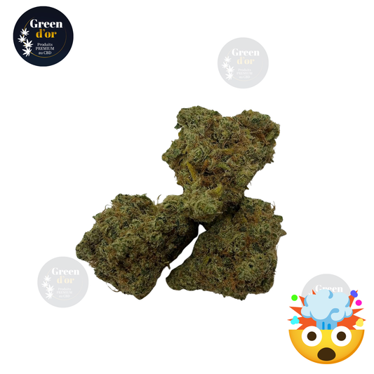 Fleur Amnésia ~ 40% VTX
