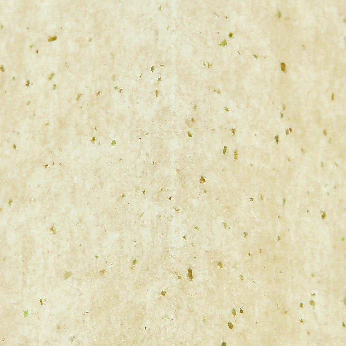 Feuilles beuz Star